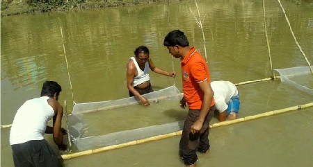 Tripura bags award in Fisheries sector