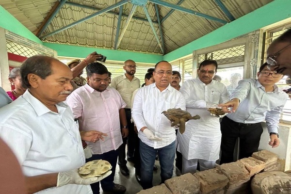 World Turtle Day: Preserving biodiversity essential for ecological balance, says Pranajit