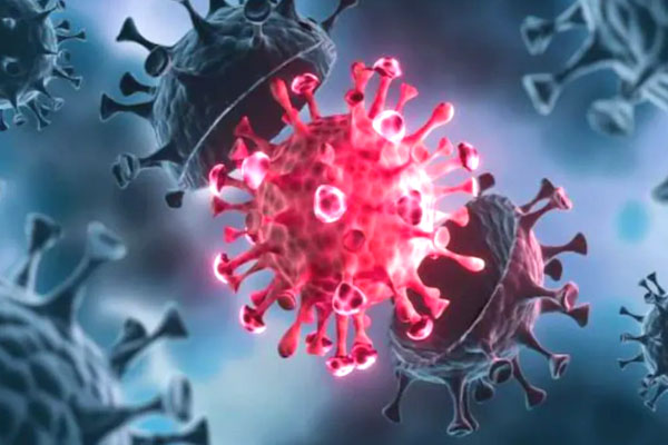 Covid makes reappearance in Tripura, one case reported