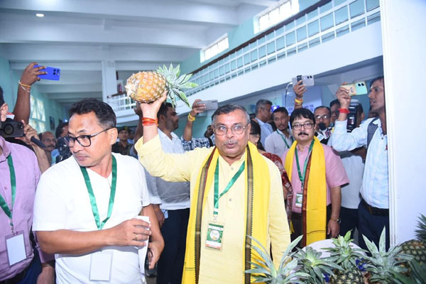 Rs 132 Crore DoNER project to make Tripura’s queen pineapple a global brand: Ratan