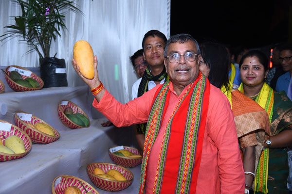 706 ha new area brought under mango cultivation in...