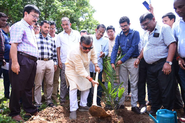 Palm Oil: Int’l research centre, another processing unit in Tripura soon