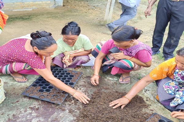 Empowering farmers: TRESP spurs Agri-Horti innovations in Jampuijala