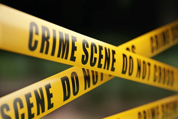 Elderly man killed, wife left seriously injured, d...