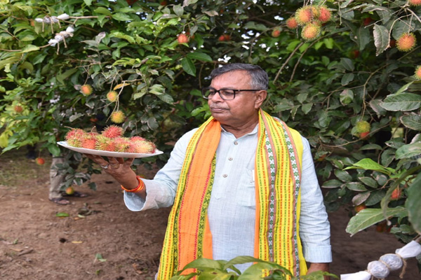 Mangosteen, Rambutan, Avocado now growing in Tripura: Agri Minister