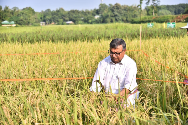 Tripura’s Khowai, Dhalai districts to become self-sufficient in food grain production soon: Ratan