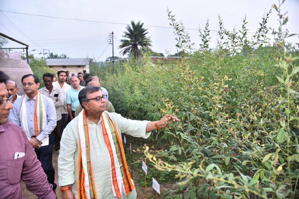 Tripura Agriculture College develops eight new varieties of Arhar Dal: Ratan