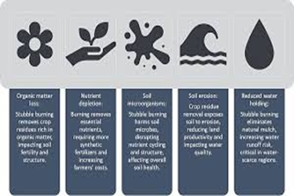 Major steps taken by Government to discourage and ...