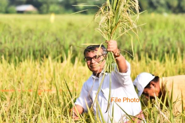 32,895 farmers hit as rain damages crop of Rs 59.1...