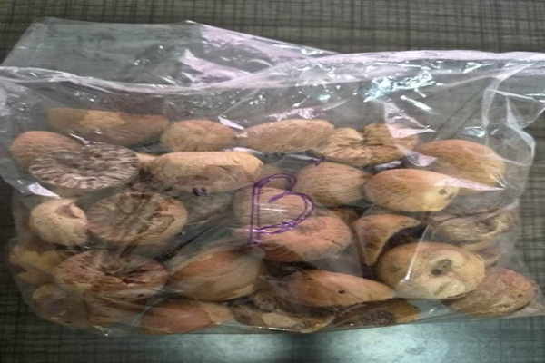 DRI seizes 60,000 kg smuggled areca nuts in Northe...
