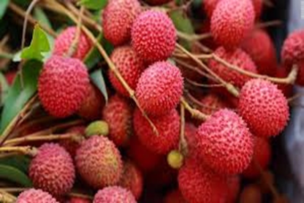 APEDA Facilitates First Export of GI-Tagged Tezpur...