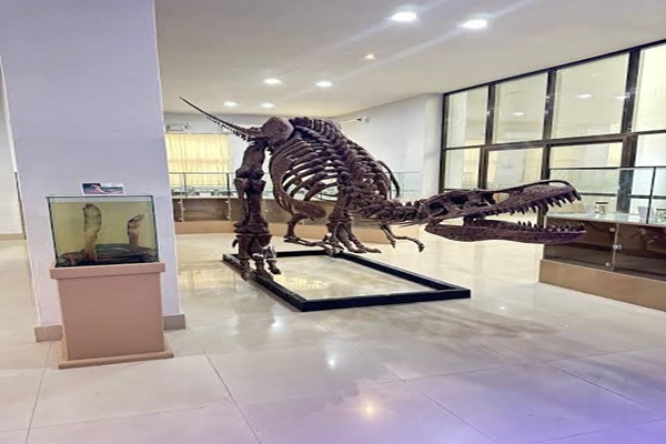 Mizoram museum named India