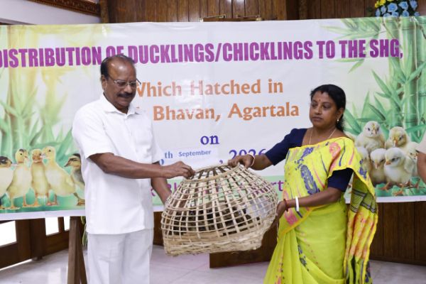 Tripura Governor distributes ducklings, chicks amo...