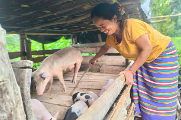 From small savings to sustainable livelihood: How ...