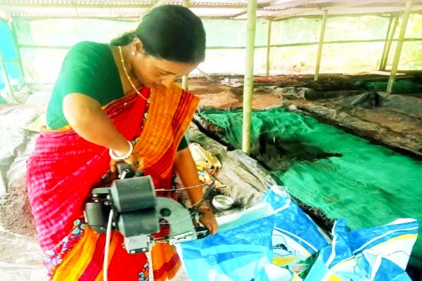 With SHG support, Tripura woman shines as Lakhpati...
