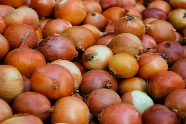Kanda Express with 440 tonnes of buffer onion to r...