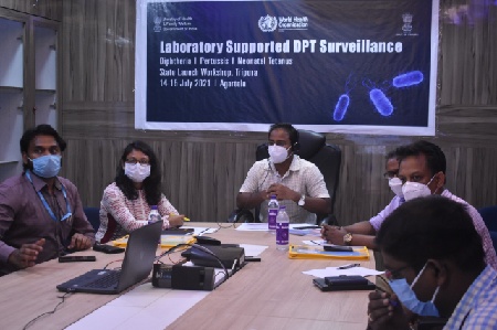 Virtual workshop on laboratory-supported DPT surveillance