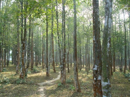 Prime Minister assures full support to Tripura for strengthening Agar sector