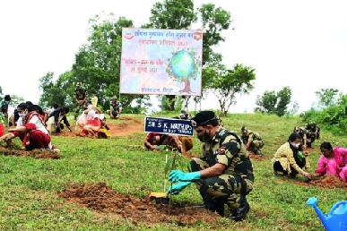 BSF Tripura frontier plants over 20k saplings on single day