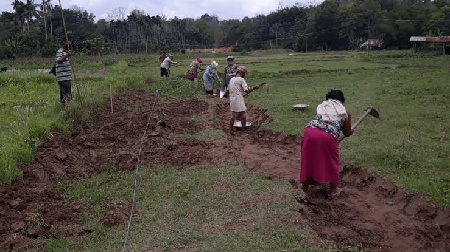 MGNREGA: 437.23 lakh mandays generated in Tripura in 2020-21