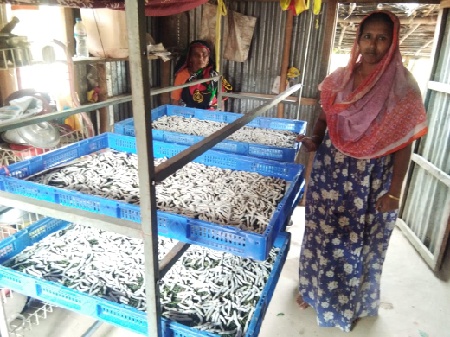 Silkworm cultivation, a livelihood support in rural Tripura