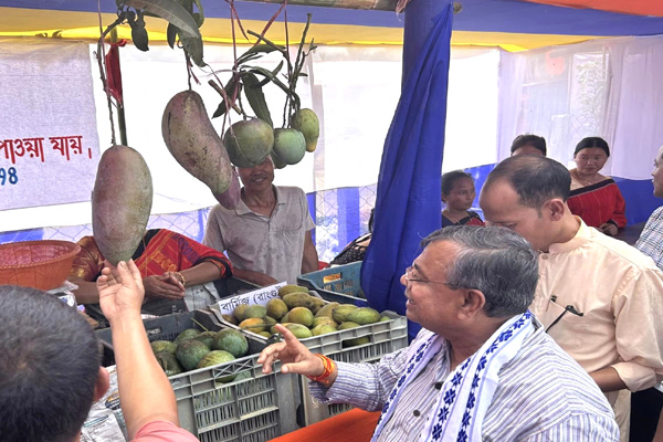 Gondatwisa emerges as leader in Tripura’s mango production